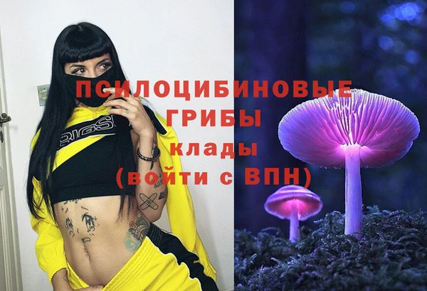 ECSTASY Нея