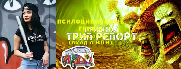 spice Новодвинск