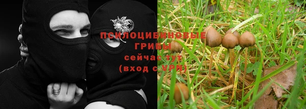 мдпв Новозыбков