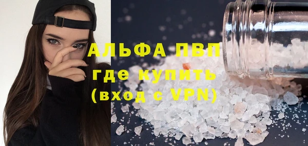 кокс Арсеньев